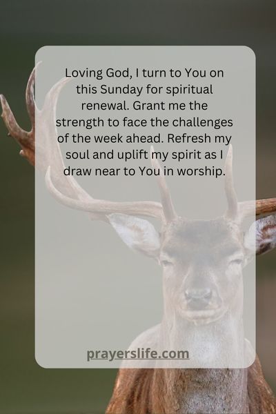 Finding Strength In Sunday'S Spiritual Renewal