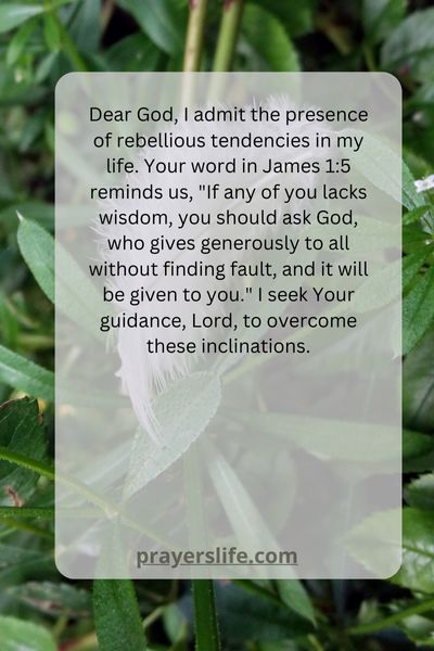 Prayer For Seeking Guidance To Overcome Rebellious Tendencies