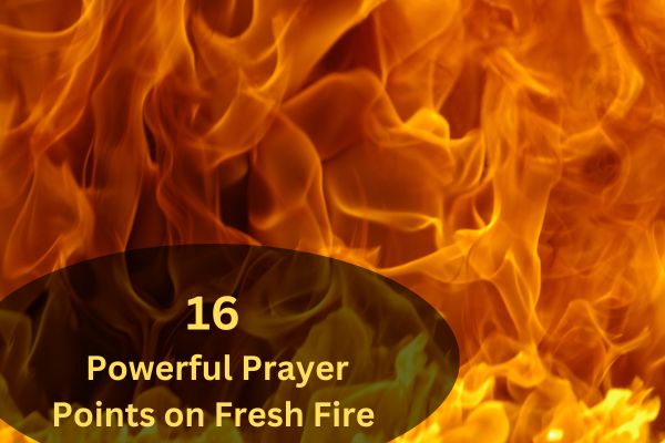 16 Powerful Prayer Points On Fresh Fire