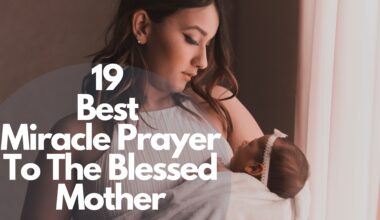 19 Best Miracle Prayer To The Blessed Mother