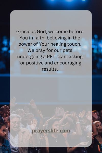 A Prayer For Positive Pet Scan Results