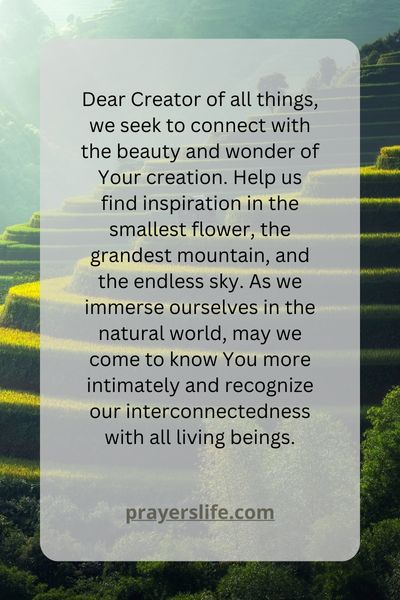 Connecting With Creation