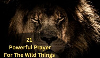 21 Powerful Prayer For The Wild Things