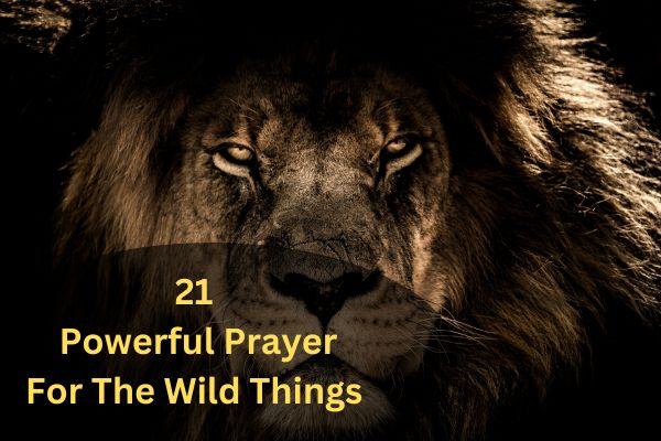 21 Powerful Prayer For The Wild Things
