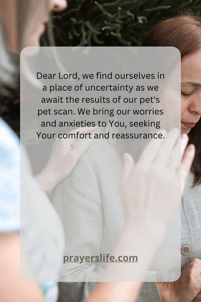 Praying For Good Pet Scan News