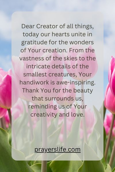 A Prayer Of Thanks To Our Creator