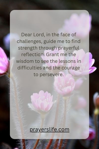 Navigating Life'S Challenges Through Prayerful Reflection