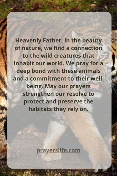 A Connection With Nature: Praying For Wild Things