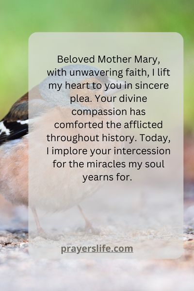 A Heartfelt Prayer To Mother Mary