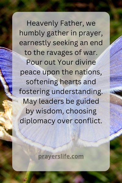 A Plea For Peace