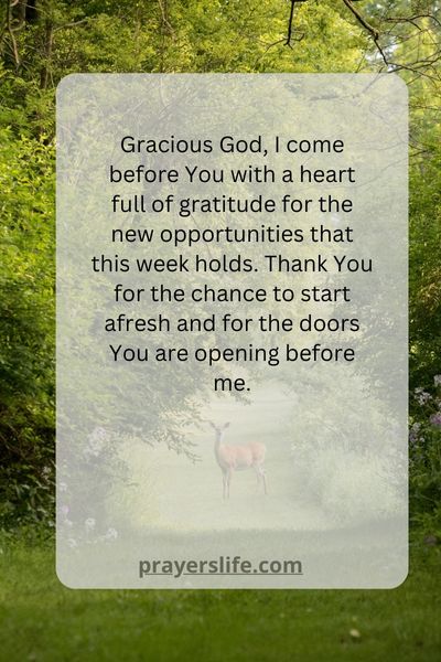 A Prayer For Embracing Gratitude And Appreciation For New Opportunities