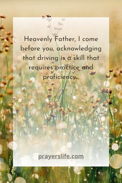 A Prayer For Skillful Driving