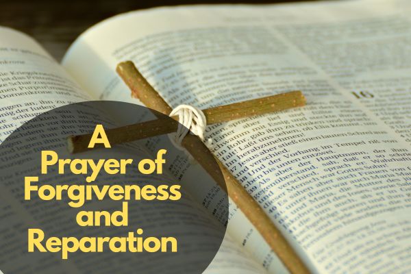 A Prayer Of Forgiveness And Reparation