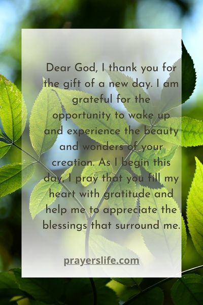 A Prayer Of Gratitude For A New Day