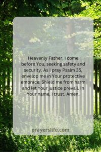 20 Best Psalm 35 Prayer For Protection