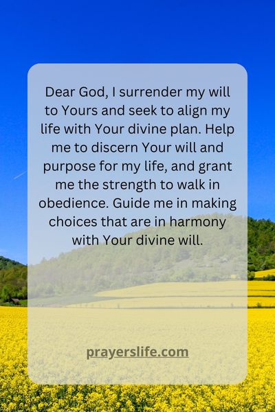 Aligning Your Life With God'S Will