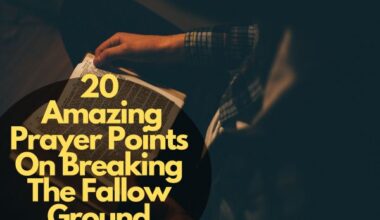 Amazing Prayer Points On Breaking The Fallow Ground