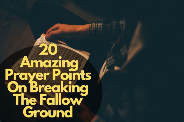 Amazing Prayer Points On Breaking The Fallow Ground