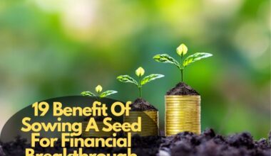 Benefit Of Sowing A Seed For Financial Breakthrough