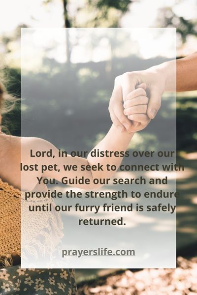 Connecting With The Divine A Pet Finding Prayer