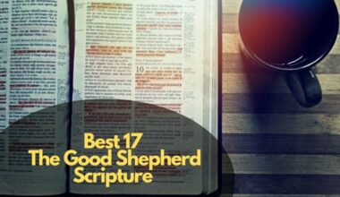 Best 17 The Good Shepherd Scripture