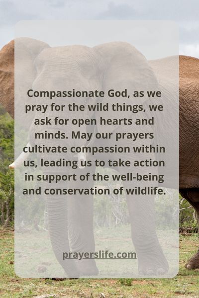 Cultivating Compassion Through Wildlife Prayer
