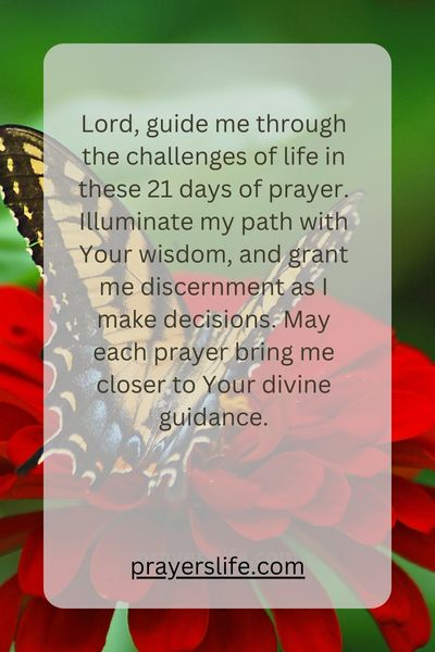 Divine Guidance