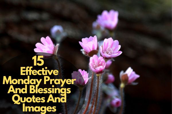Effective Monday Prayer And Blessings Quotes And Images