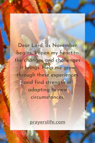 Embracing Change My Prayer For Novembers Journey