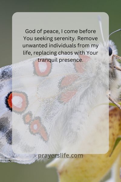 Embracing Serenity: A Prayer To Remove Unwanted Individuals