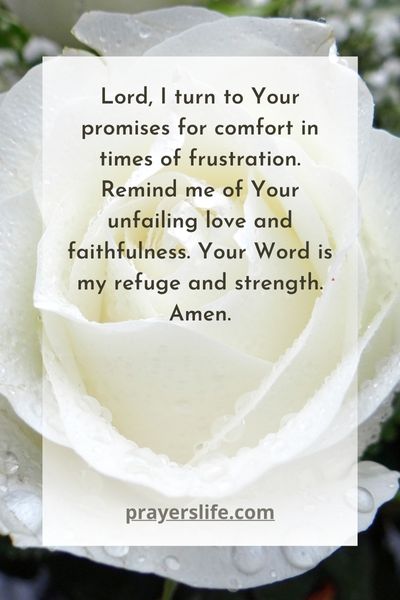 Finding Comfort In God'S Promises