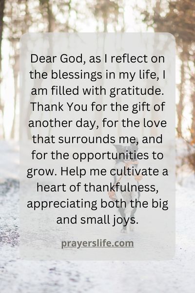 Gratitude