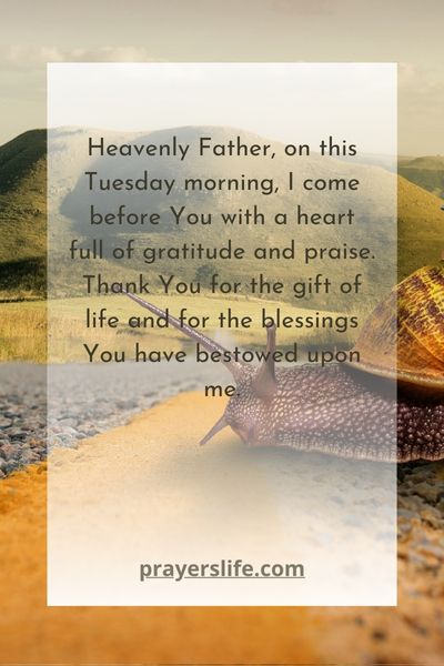 Gratitude And Praise In Tuesday Morning Prayers