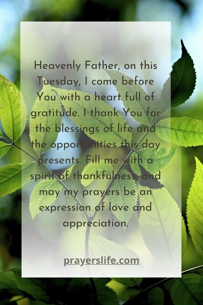 Gratitude And Prayers For Tuesday Blessings