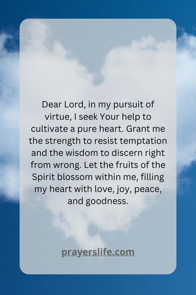 In Pursuit Of Virtue