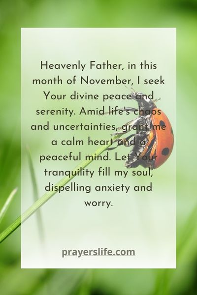 November'S Prayer For Peace And Serenity