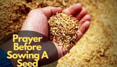 Prayer Before Sowing A Seed