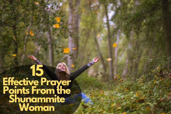 Prayer Points From The Shunamite Woman