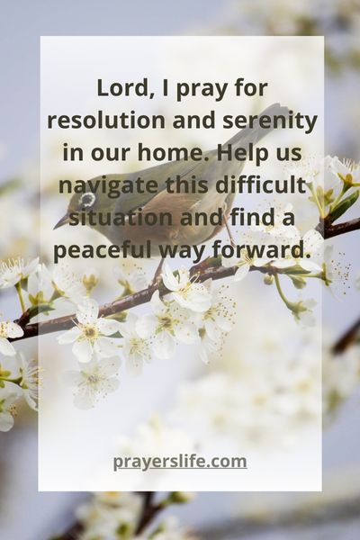 Praying For Resolution And Serenity