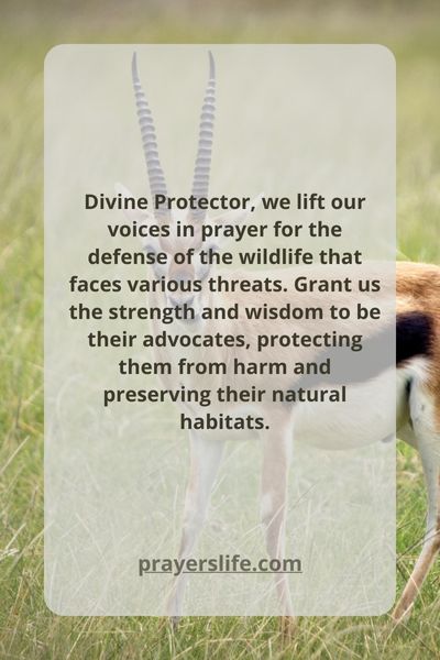 Praying For The Protection Of Wildlife