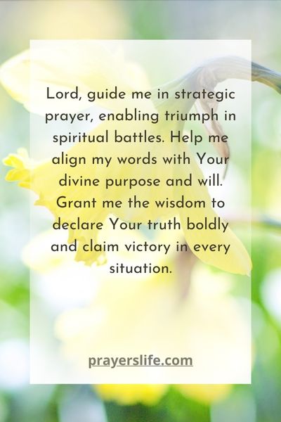 Proclamations For Triumph Warfare Prayer Strategies