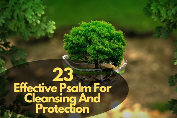 Psalm For Cleansing And Protection