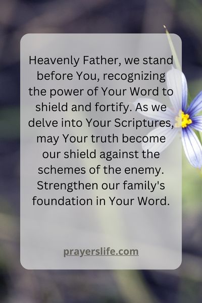 Scriptural Shields