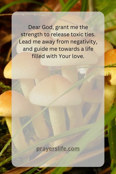 Seeking Divine Guidance: A Prayer To Release Negative Influences