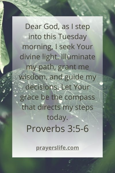 Seeking Divine Light On Tuesday Morning