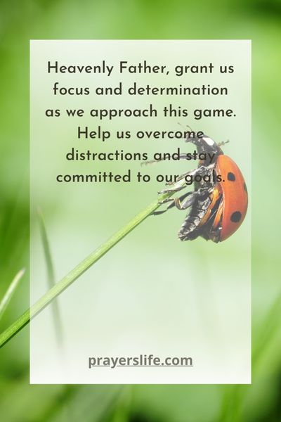 Seeking Focus And Determination