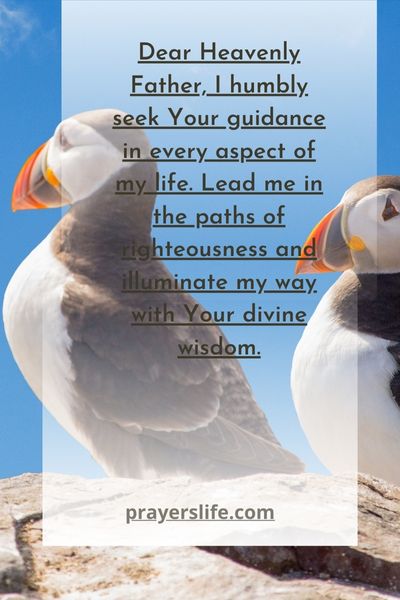 Seeking Guidance From Our Heavenly Father