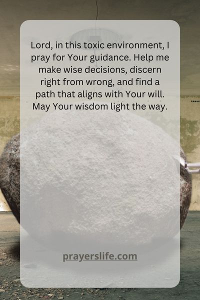Seeking Guidance In A Toxic Workplace