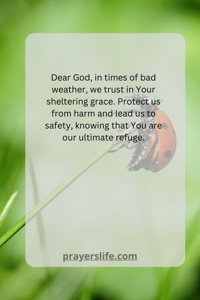 Trusting God'S Shelter In Bad Weather