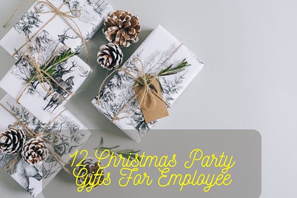 Christmas Party Gifts For Employee